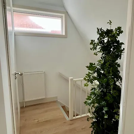 Pollux 6 Pers 300m Het ノールトウェイク