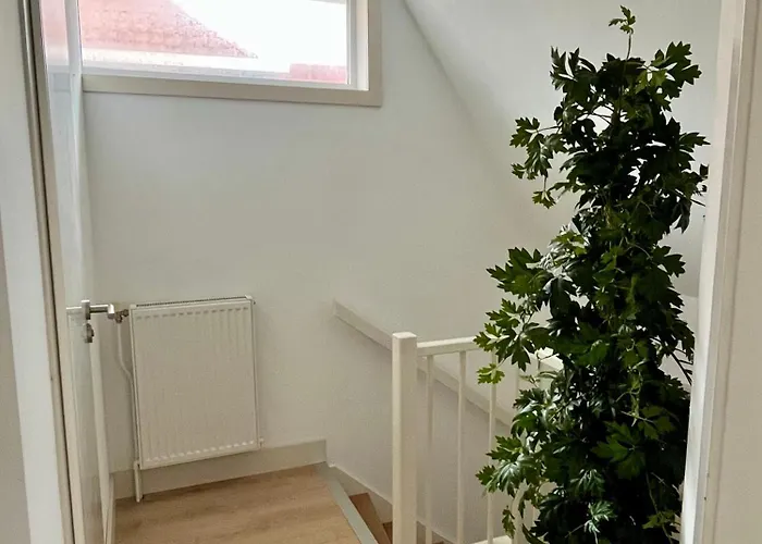 Pollux 6 Pers 300m Het Noordwijk