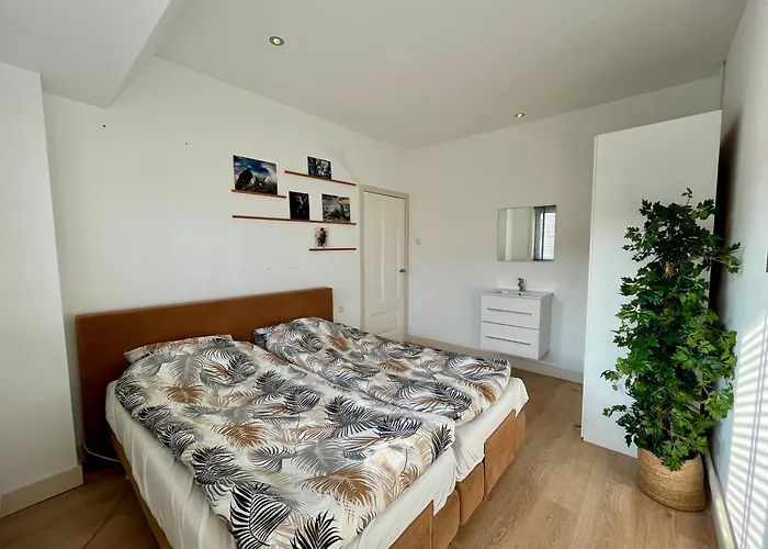 Apartament Pollux 6 Pers 300m Het *